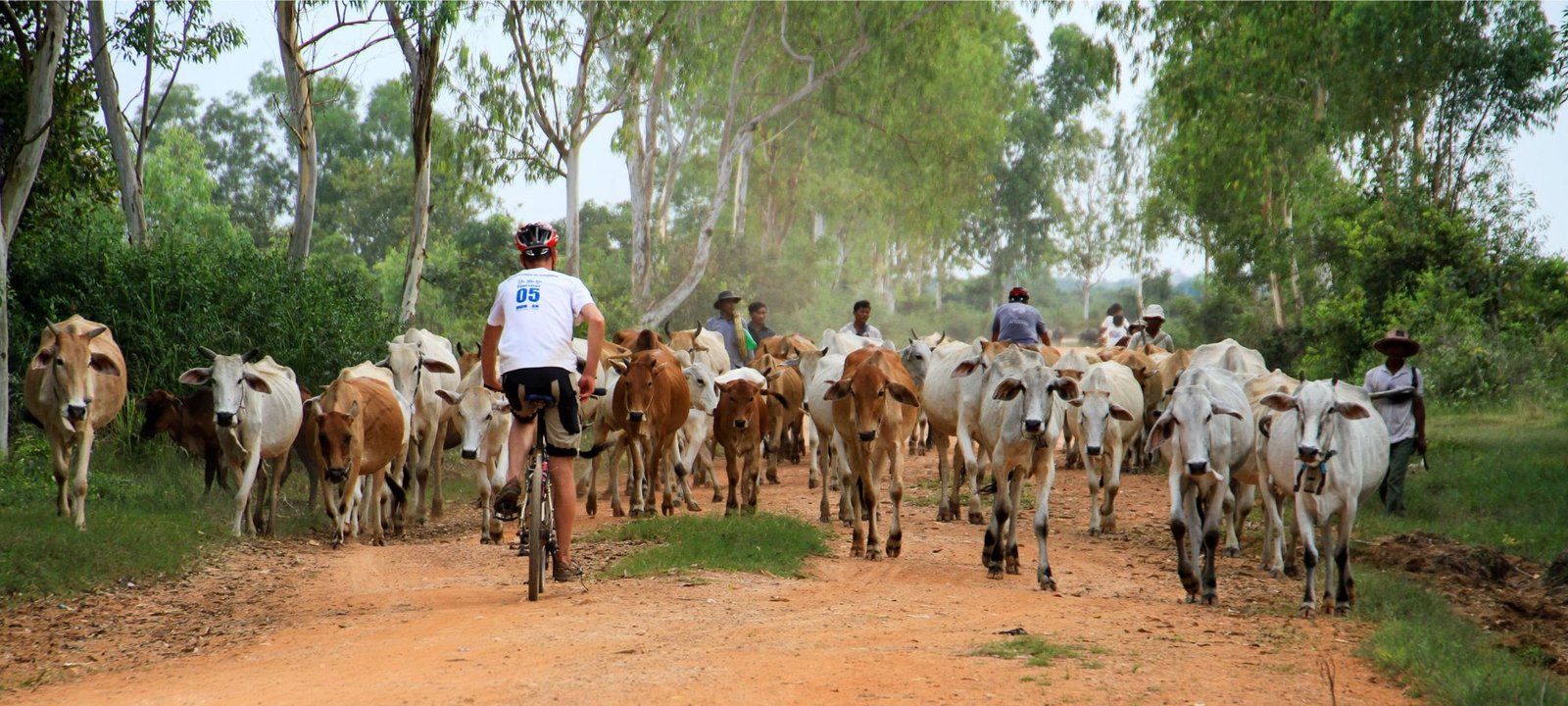Cambodia Gravel Cycling Holiday